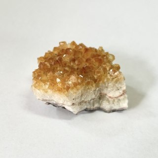 Cytryn mini szczotki