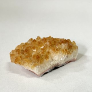 Cytryn mini szczotki - 1